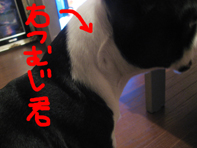 061026-4.jpg