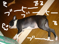 雨4.jpg