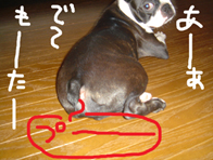 プー1.jpg