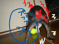 プー3.jpg