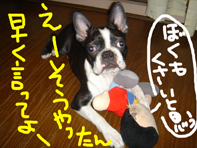 プー5.jpg