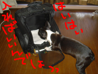 リュック1.jpg