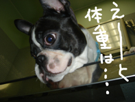 リュック6.jpg
