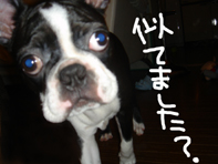 宇宙人5.jpg