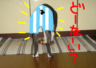 裸族2.jpg