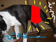 裸族3.jpg