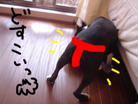 裸族4.jpg