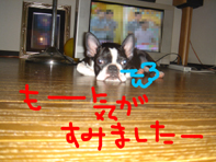 裸族6.jpg