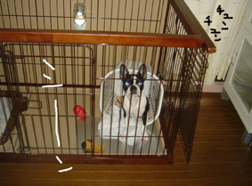 good-morning1.jpg